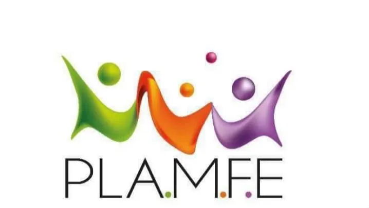 Logo de PLAMFE